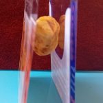 IMG_20250812_233513_985