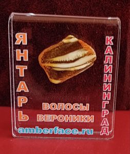 photo_2025-09-04_10-18-59