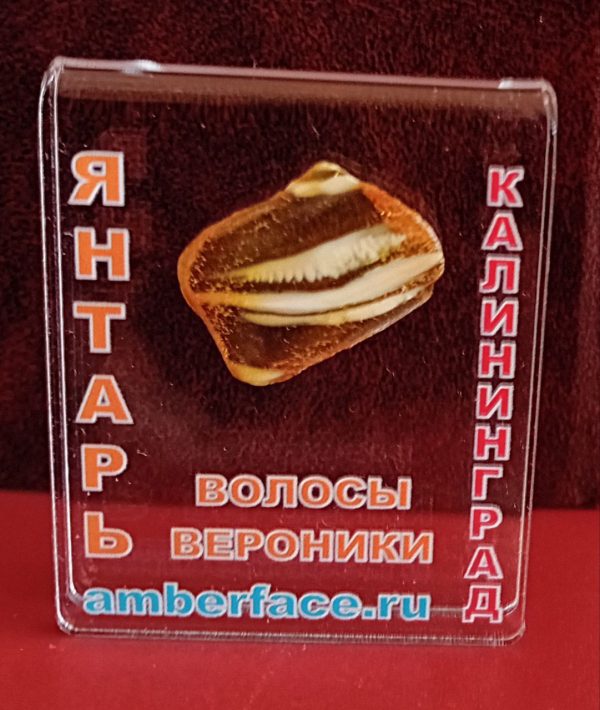 Волосы Вероники