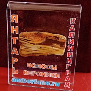 Волосы Вероники