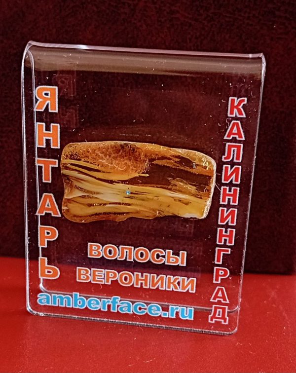 Волосы Вероники